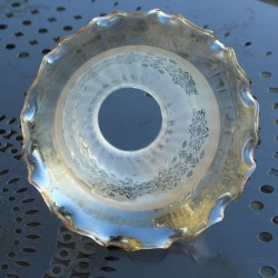 tulipe-verre-de-remplacement
