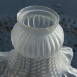 tulipe-verre-dépoli-remplacement