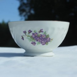 ensemble-de-bols-porcelaine-Sarreguemines-art-de-la-table-français