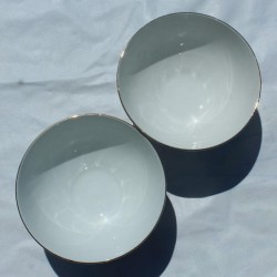 ensemble-de-bols-aux-roses-rouges-porcelaine-Sarreguemines-art-de-la-table-français