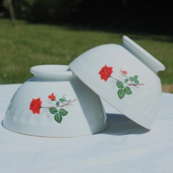 bol-décor-fleurs-roses-rouges-porcelaine-Sarreguemines