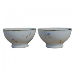 2 Bols petites fleurs en porcelaine Apilco, France