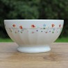 Bol en porcelaine frise de fleurs F Chauvigny