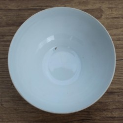 Bol en porcelaine frise de fleurs F Chauvigny