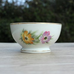 2 bols en porcelaine  CPN France