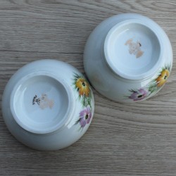 2 bols en porcelaine  CPN France