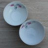2 bols en porcelaine  CB & Cie France
