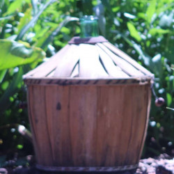 Dame-Jeanne-ancienne-