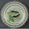 Assiettes service à poisson RP porcelaine de  Limoges anciennes